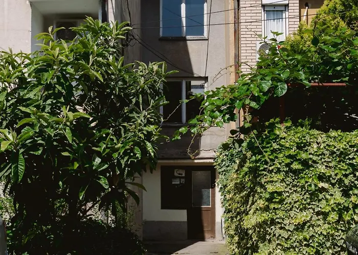 With Mountain View Balcony And Free Parking *